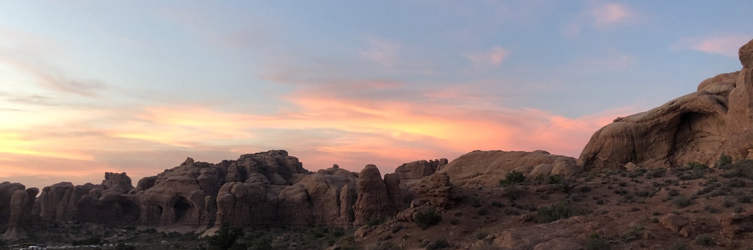 desertroseslc's profile banner image