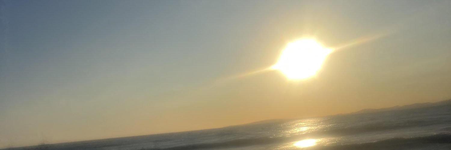 lisa_doc's profile banner image