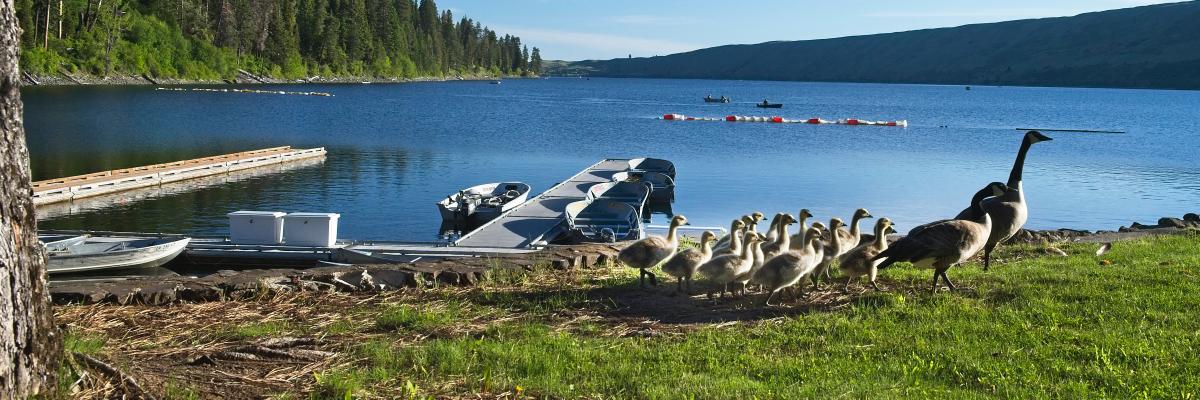Wallowa Co Chieftain banner