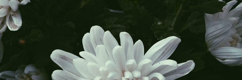 nsucee's profile banner image