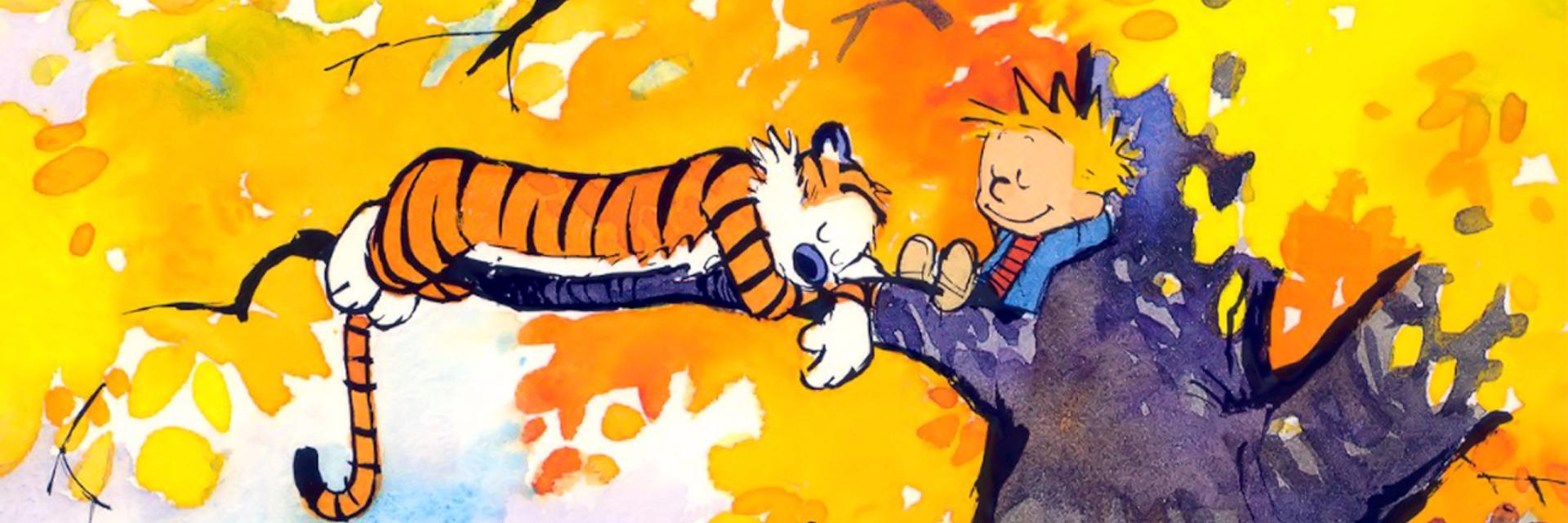 MitchellD_Bowen's profile banner image