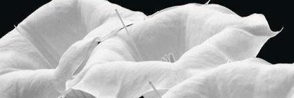 aFars509's profile banner image