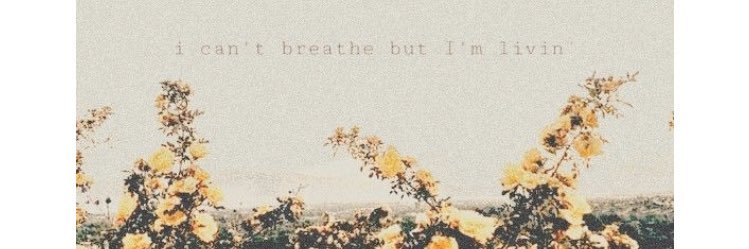 deona_webster's profile banner image