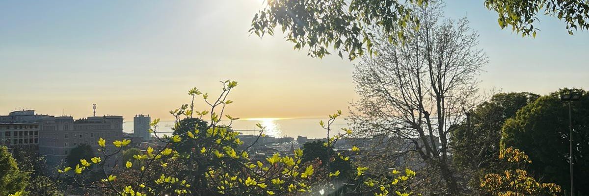 _lilianab_'s profile banner image