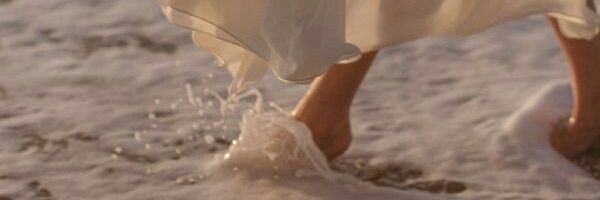 ashgrey banner
