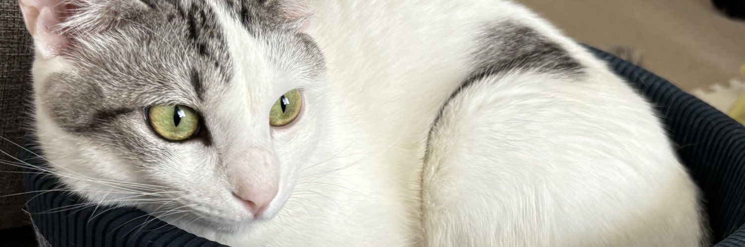 Da_panda11's profile banner image