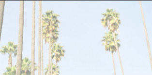 kusssEsmee's profile banner image