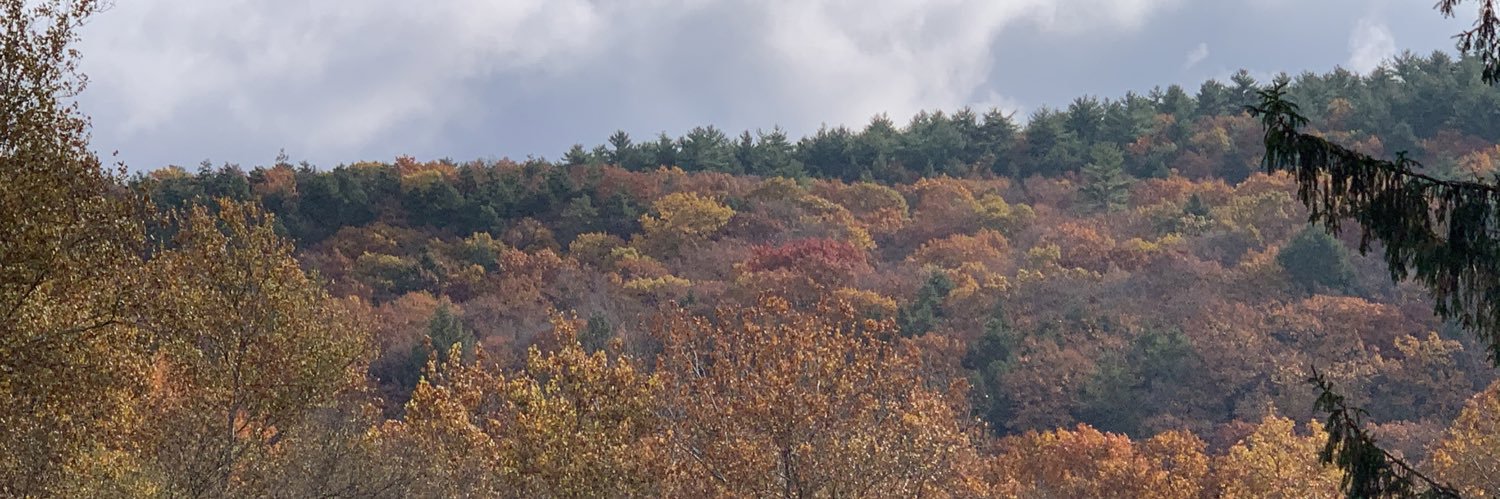 tabcalvitti's profile banner image