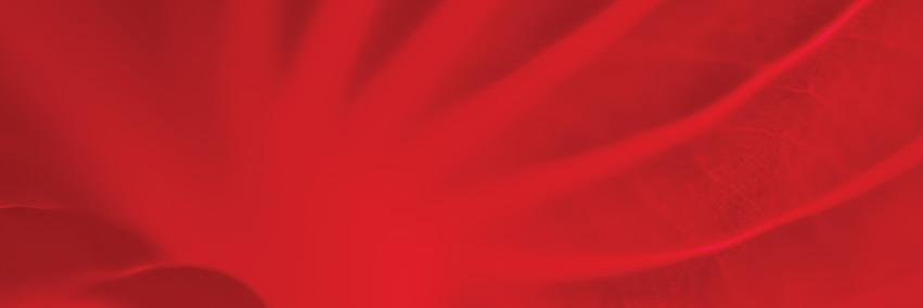nandanijstad's profile banner image