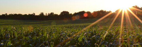 nanoyield Profile Banner