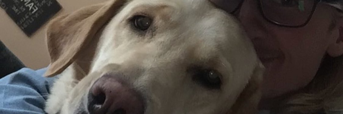HartillBrandon's profile banner image