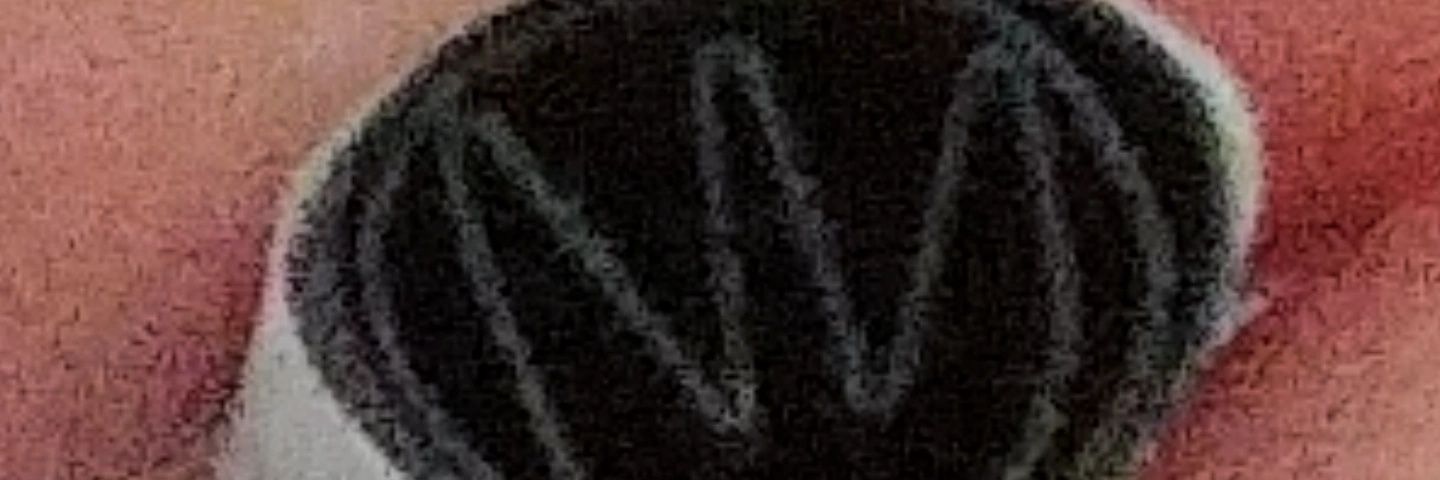 pieceoflife's profile banner image