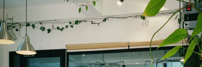 Dnmkdp's profile banner image