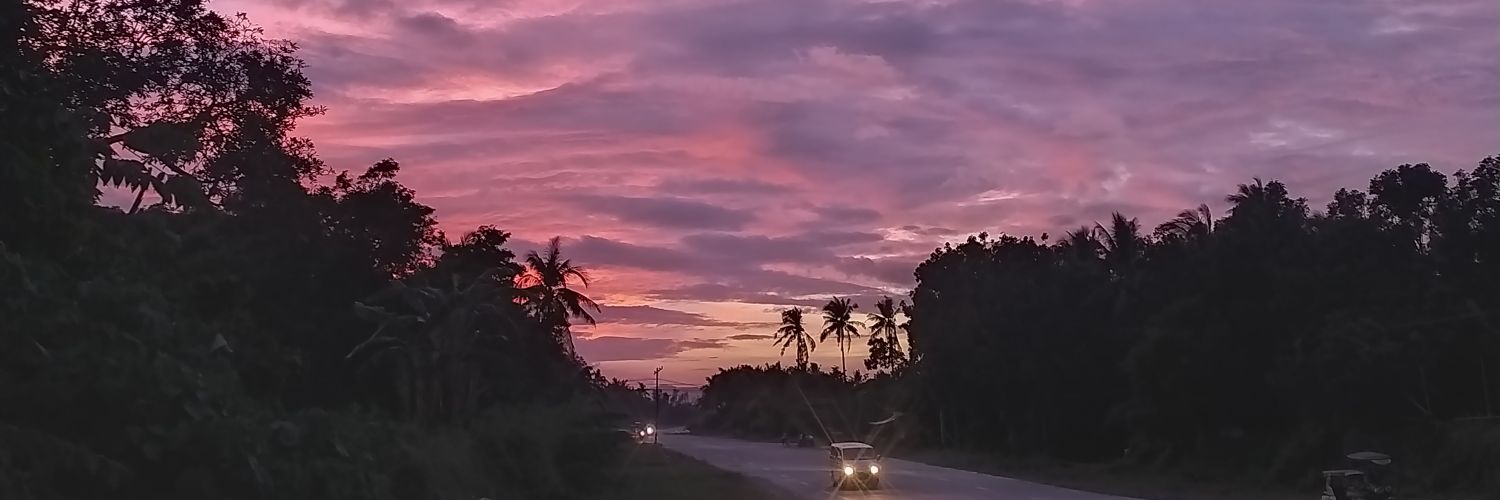 MsLhynie's profile banner image