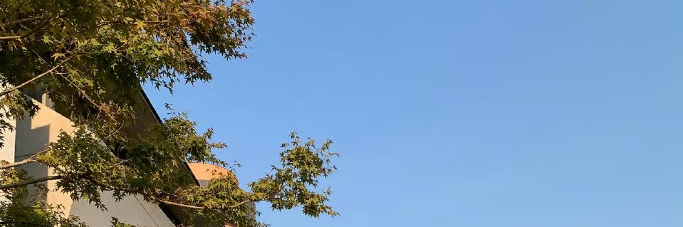 L17_al's profile banner image