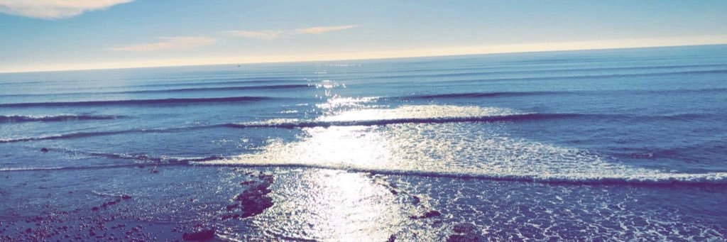KimmmmyMD's profile banner image