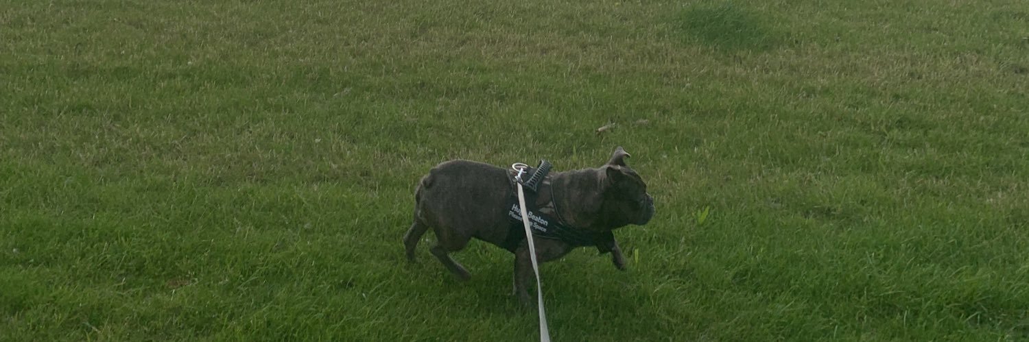 Deano Mourinho banner