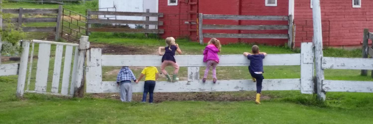 David Engdahl banner