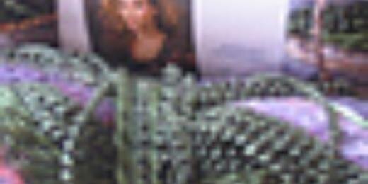 FiberPirate's profile banner image