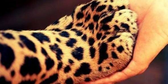 LuanaL__'s profile banner image