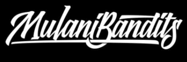hostildama's profile banner image
