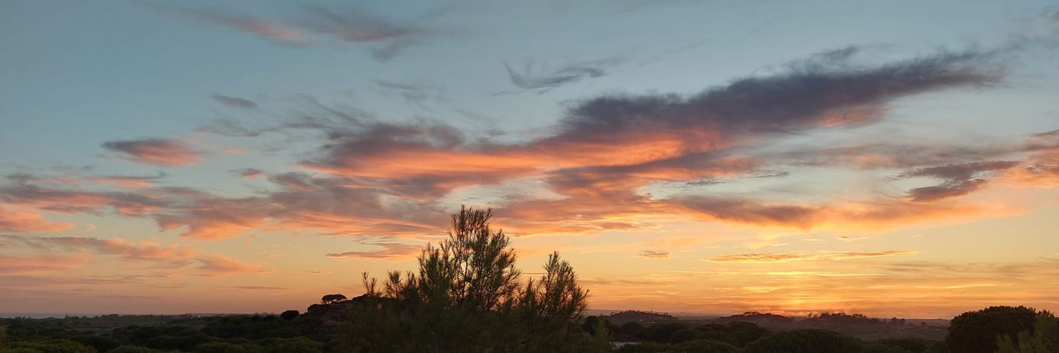 letrasdecaro's profile banner image