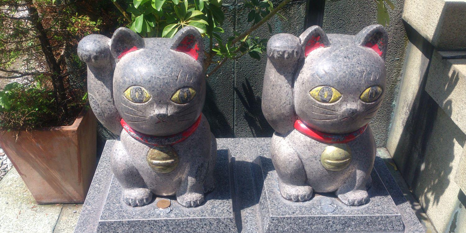 wakami0429's profile banner image