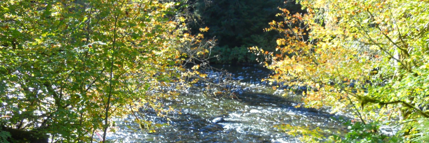 mossluver56's profile banner image