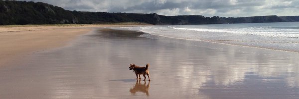 jumpylegs Profile Banner