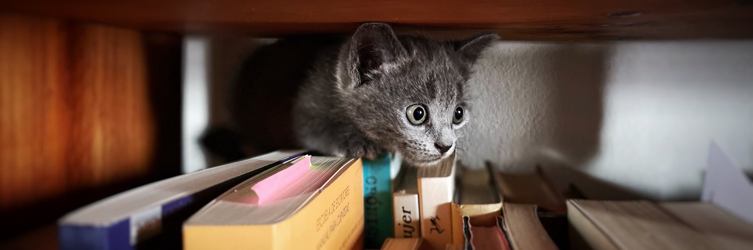 Francisco Herrera banner