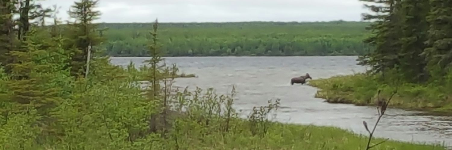 reidj29's profile banner image