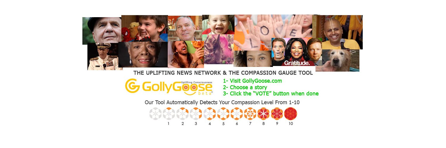 GollyGoose banner