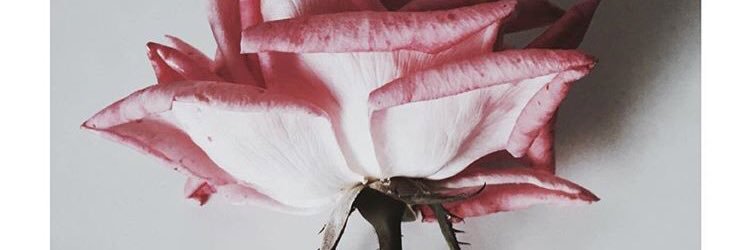 PicFatima's profile banner image