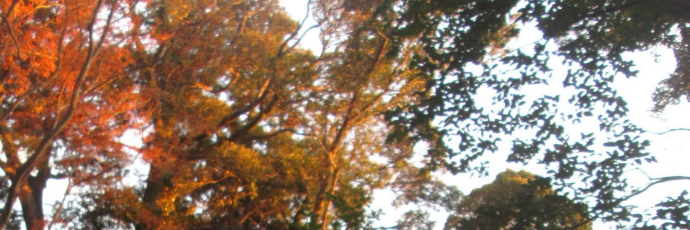 ManlapigBeyj's profile banner image
