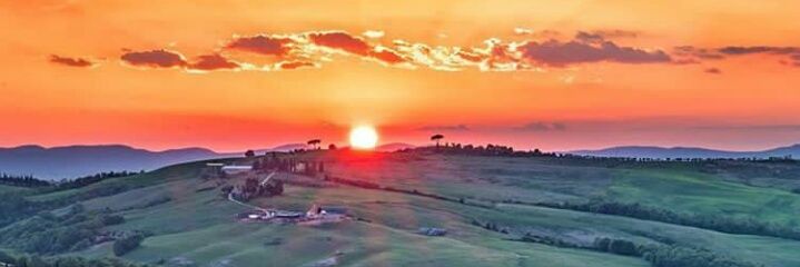 Lisbeth Rojas banner