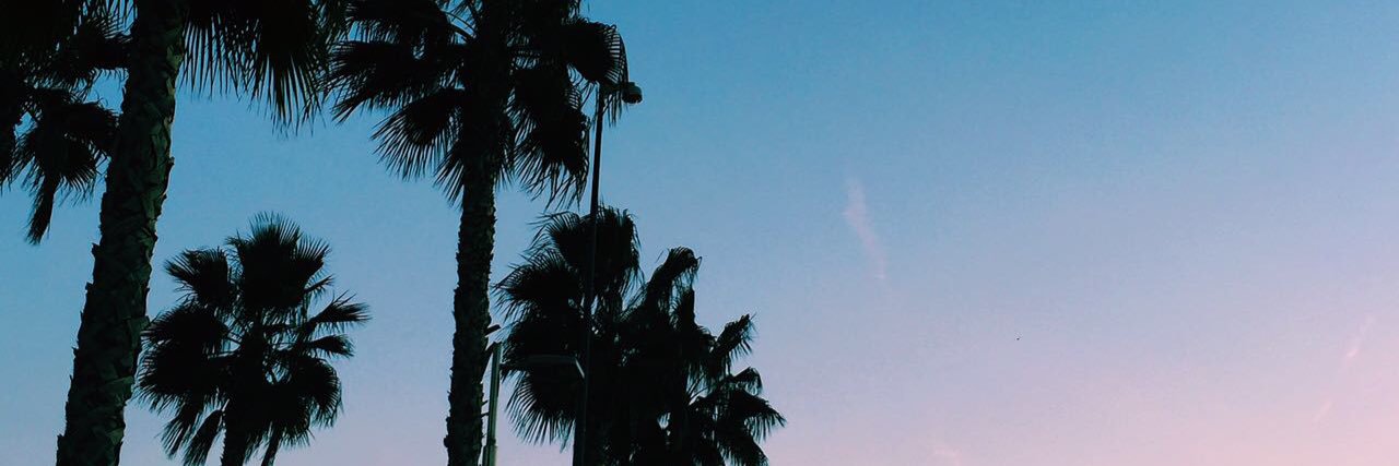 blancajdom's profile banner image