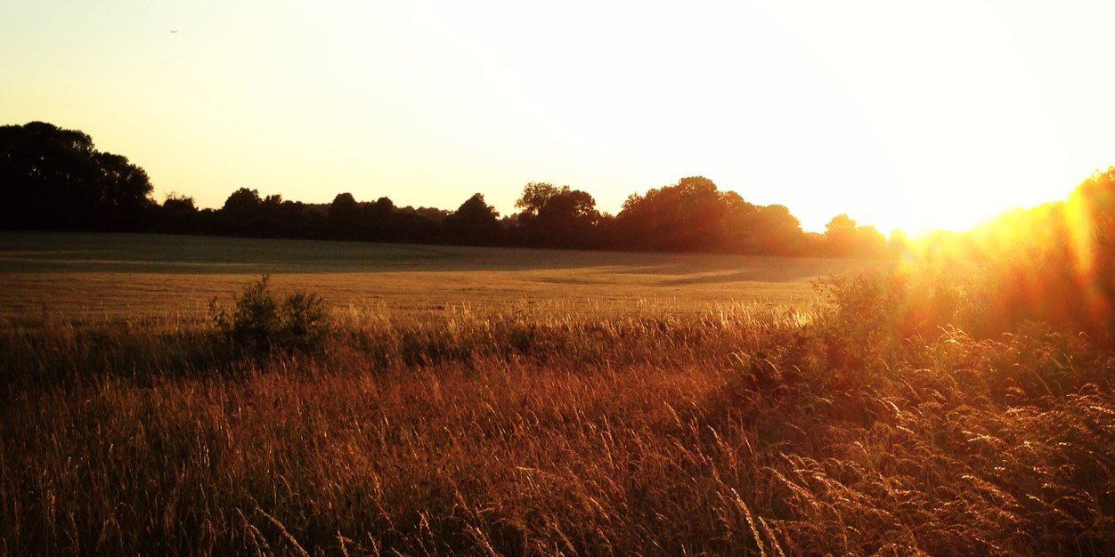 HowellRhys's profile banner image
