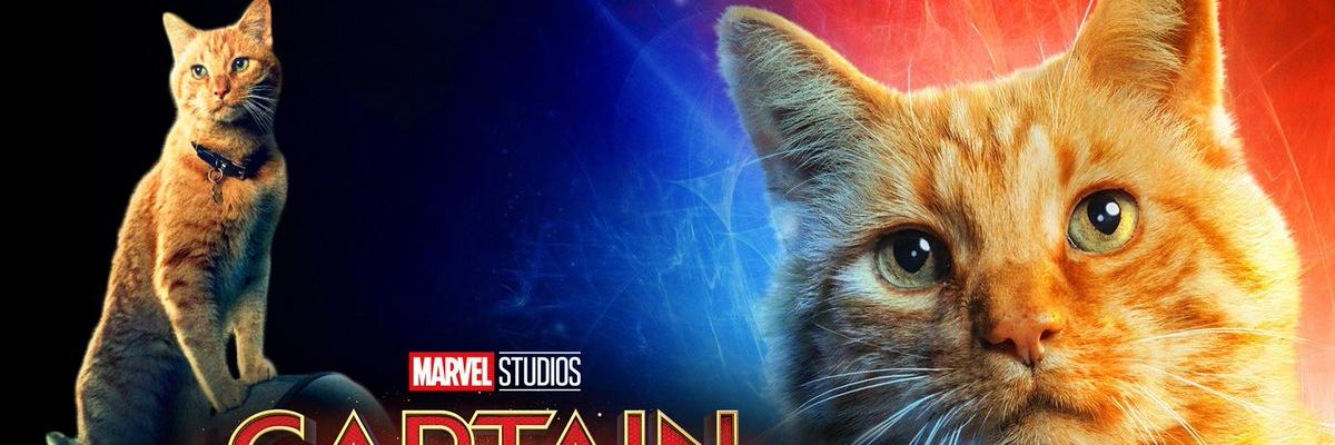 MARGARET STOHL banner