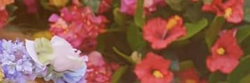 mmk4419's profile banner image