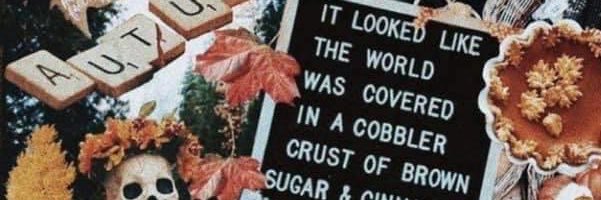 HelenaBeyer_'s profile banner image