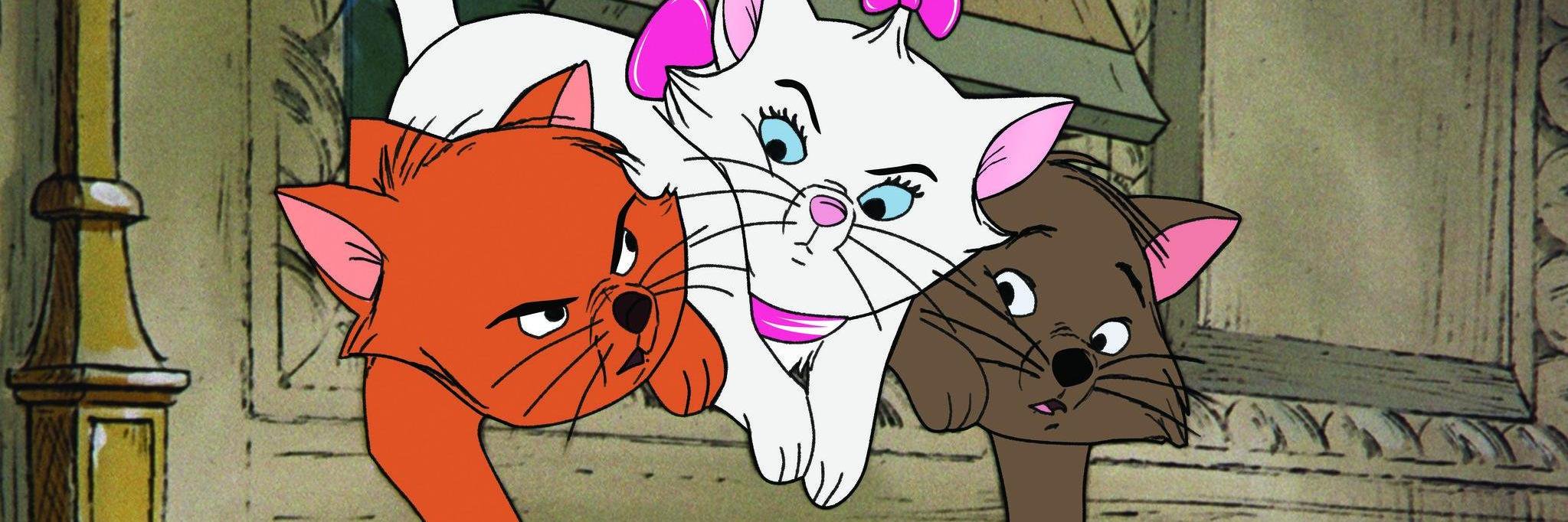 anim_rules's profile banner image