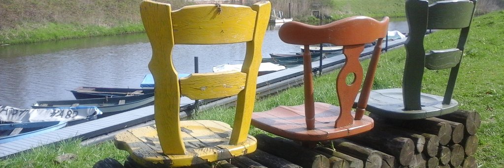 Anne van Kuijk banner