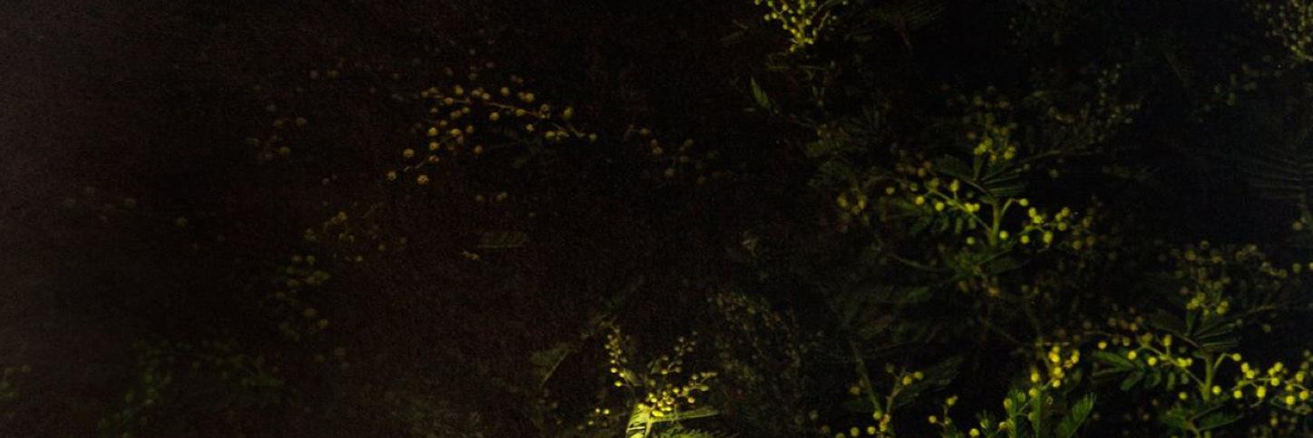 GSAMFAEds's profile banner image