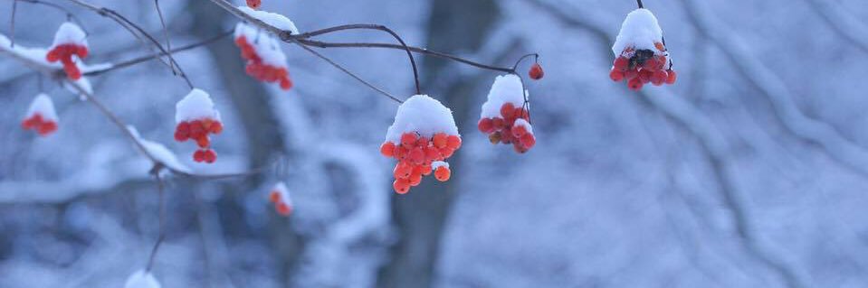 lamada8223's profile banner image