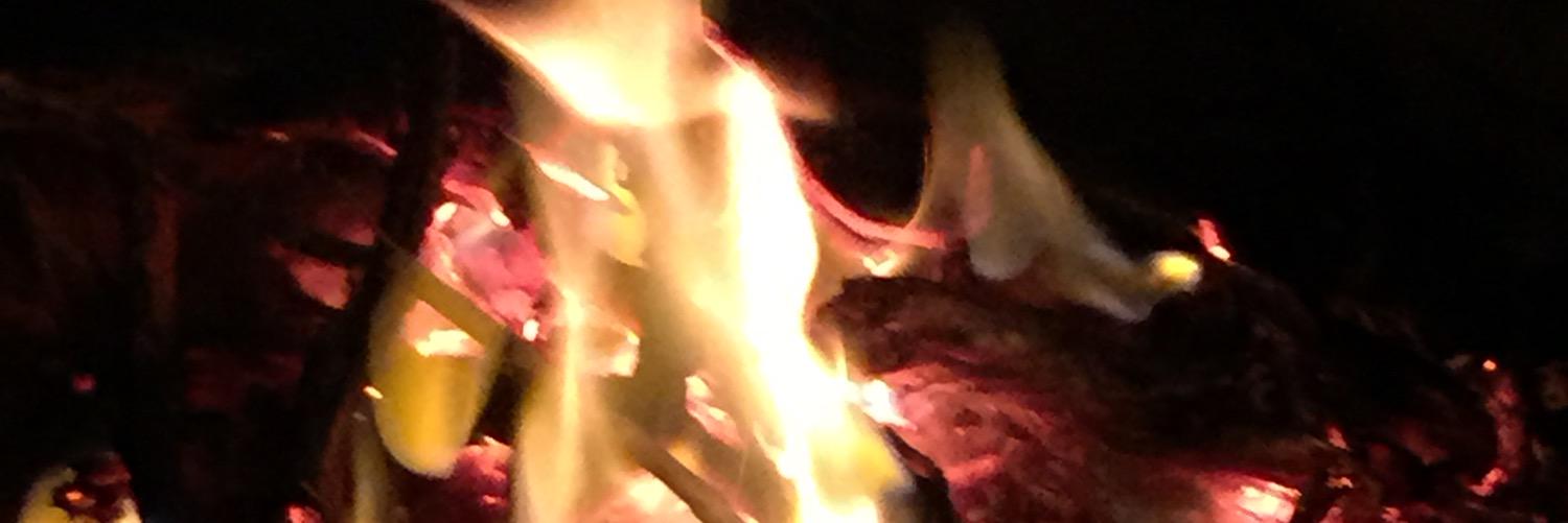 majd2015_'s profile banner image