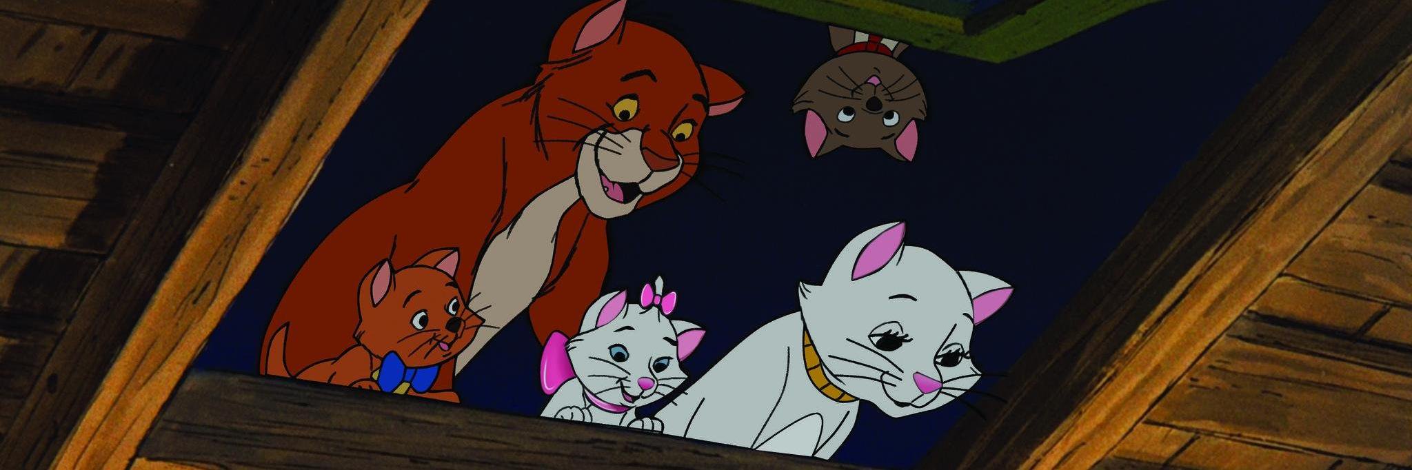 Anim_Articles's profile banner image