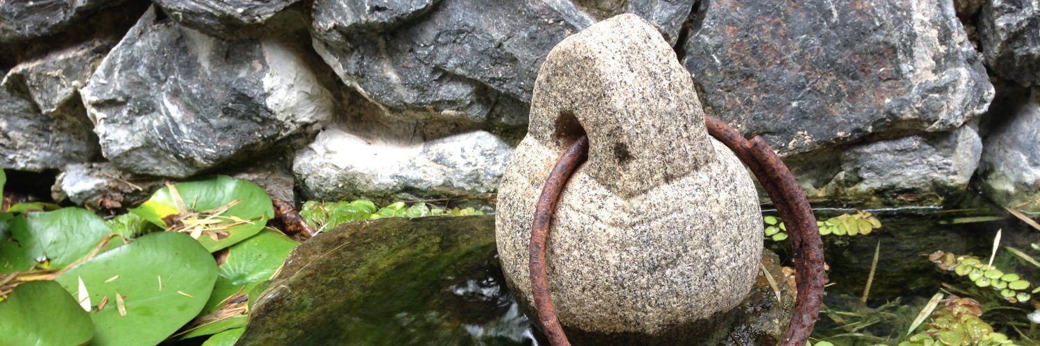 Kïng of Kangaroolanḏ banner