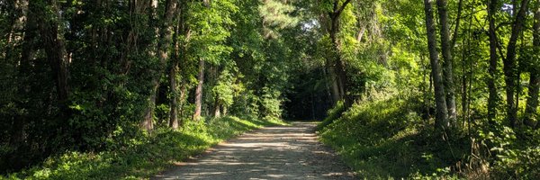 _MelRealm_ Profile Banner