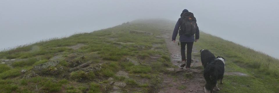 EricBurrows's profile banner image