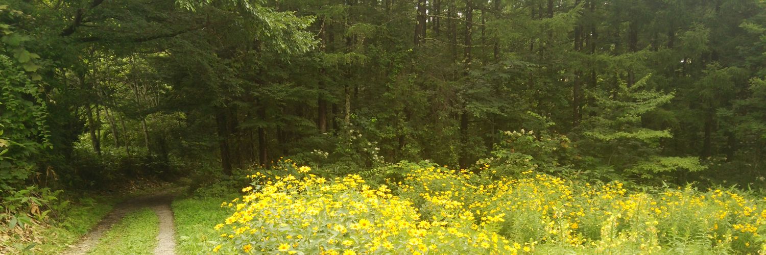 bo_saaan's profile banner image